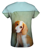 Bashful Little Beagle