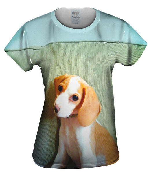 Bashful Little Beagle Womens Top