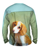 Bashful Little Beagle