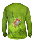 Sly Fox Watching
