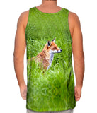 Sly Fox Watching
