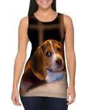 Snuggle Time Beagle