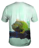 Fierce Iguana