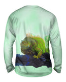 Fierce Iguana