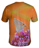 Lovely Gray Butterfly