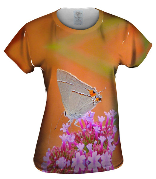 Lovely Gray Butterfly Womens Top
