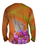 Lovely Gray Butterfly