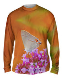 Lovely Gray Butterfly