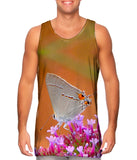 Lovely Gray Butterfly