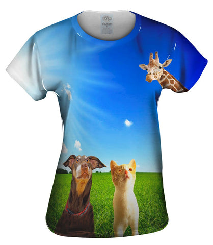 Wow Giraffe