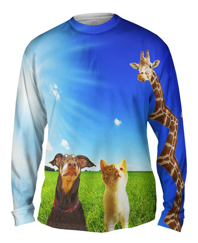 Wow Giraffe