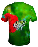 Fanciful White Butterfly