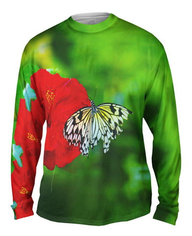 Fanciful White Butterfly