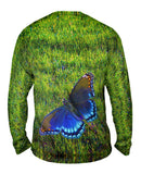 Flighted Dark Blue Butterfly