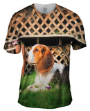 Beagle Flower Lover