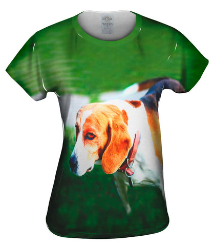 Rough Night Beagle