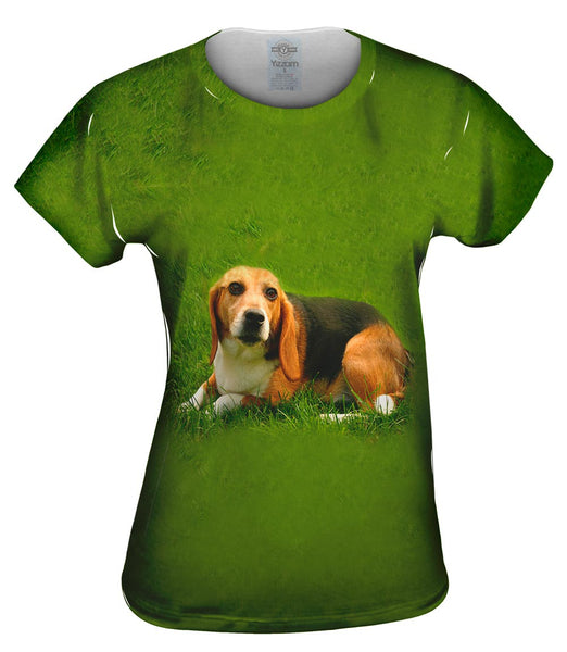 Lets Play Beagle Womens Top