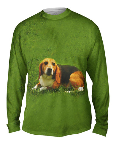Lets Play Beagle