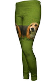 Lets Play Beagle