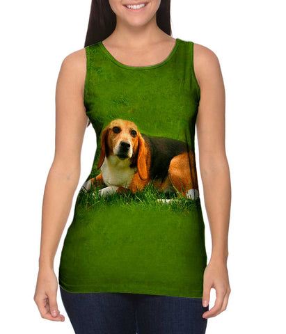 Lets Play Beagle