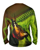 Colorful Dark Orange Butterfly