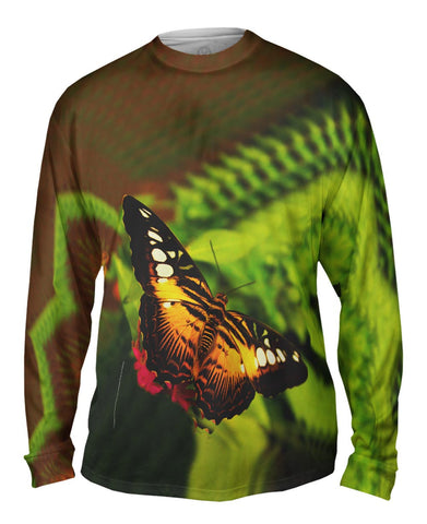 Colorful Dark Orange Butterfly
