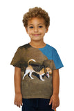 Kids Beagle On Rocks