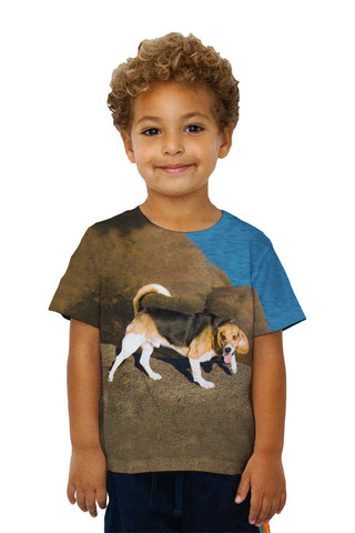 Kids Beagle On Rocks