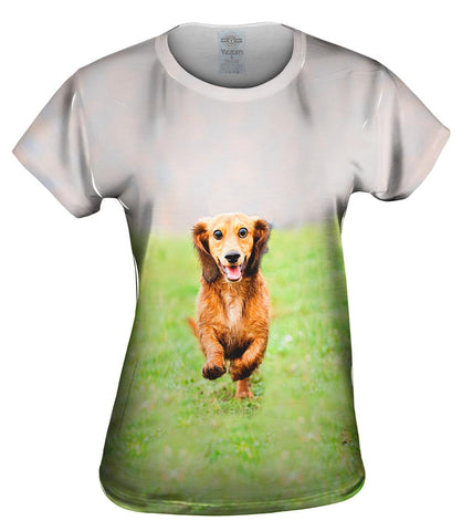 Dachshund Athlete