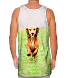 Dachshund Athlete