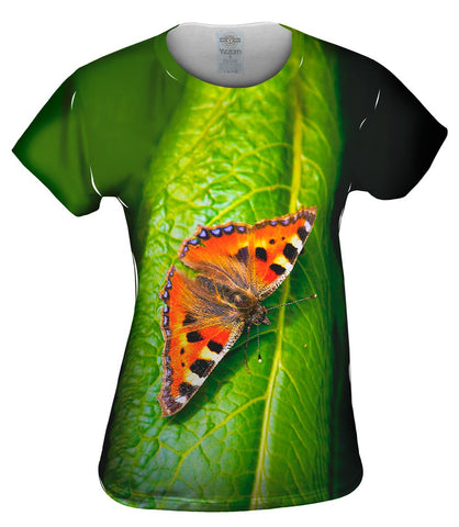 Dazzling Spotted Butterfly