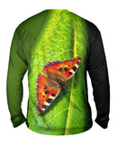 Dazzling Spotted Butterfly
