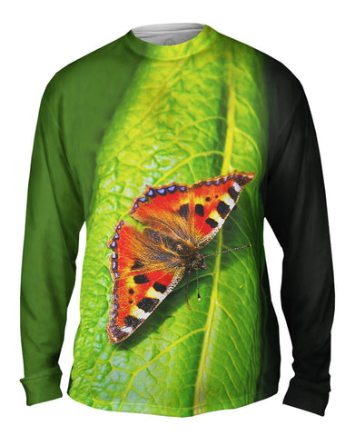 Dazzling Spotted Butterfly