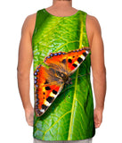 Dazzling Spotted Butterfly