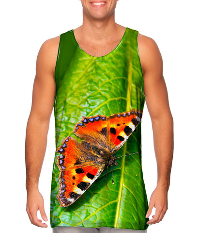 Dazzling Spotted Butterfly