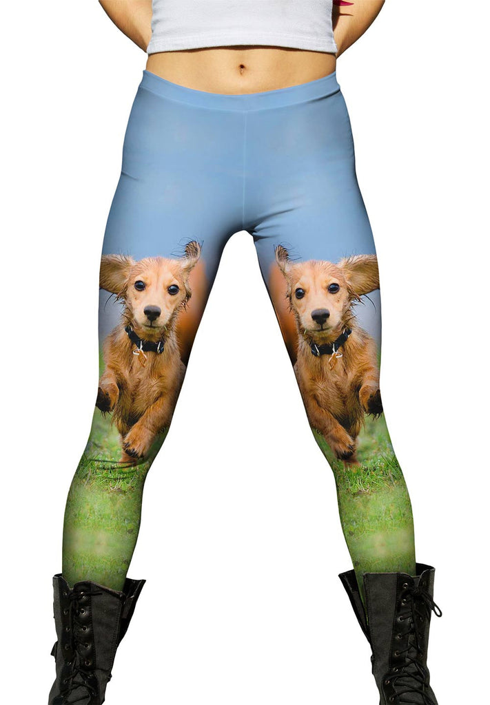 Dachshund leggings 2025