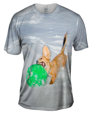 I Got Ball Beagle