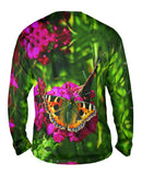 Enchanting Tortoise Shell Butterfly