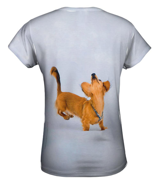Dachshund Snow Dance&nbsp;Womens Top