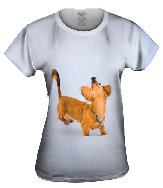 Dachshund Snow Dance Womens Top