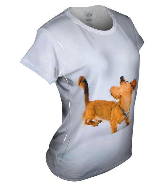 Dachshund Snow Dance&nbsp;Womens Top