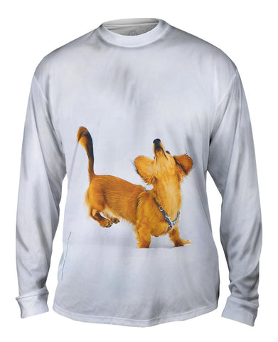 Dachshund Snow Dance