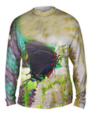 Unusual Bloom Butterfly