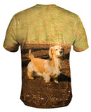 Dachshund Hates Mud