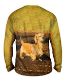 Dachshund Hates Mud