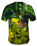 Monarch Daisy Butterfly
