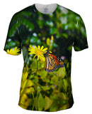 Monarch Daisy Butterfly