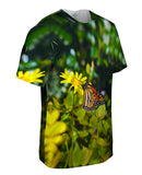 Monarch Daisy Butterfly