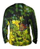 Monarch Daisy Butterfly
