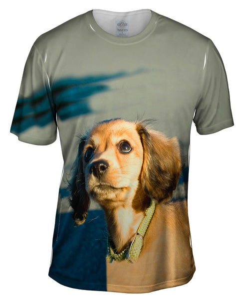 Ambitious Dachshund Puppy Mens T-Shirt